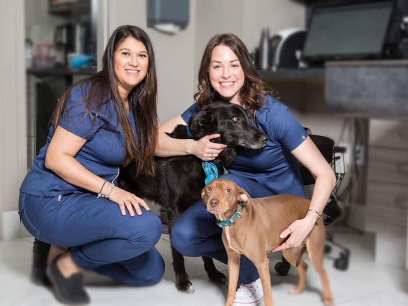 Liberty Village Animal Hospital