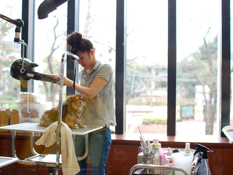 The Dog House Grooming