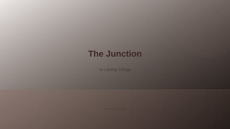 The Junction neighborhood