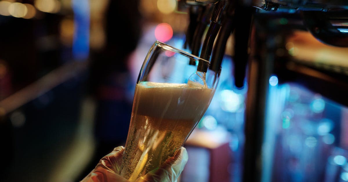 Best Bars & Restaurants Near BMO Field for World Cup 2026