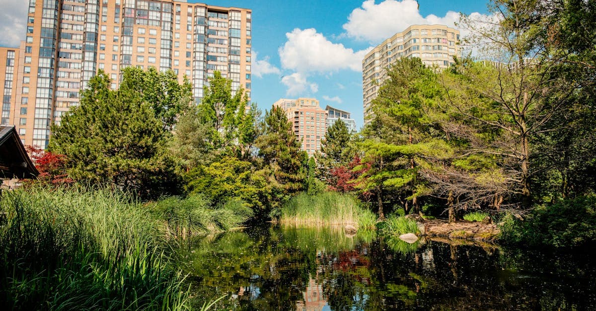 Liberty Village Park, Stanley Park & All Green Spaces Guide 2026