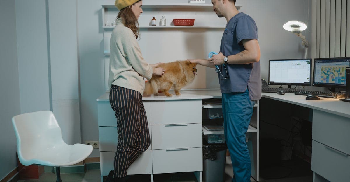 Pet Services in Liberty Village: Vets, Groomers & Pet Stores 2026