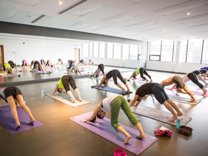Yoga Tree