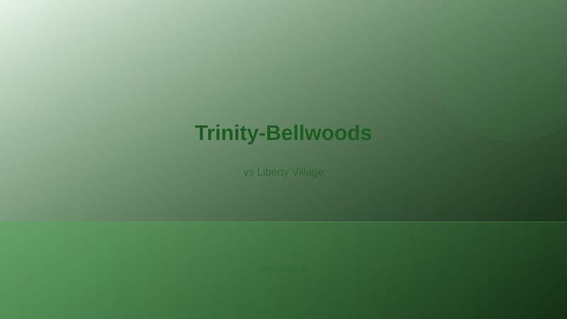 Trinity-Bellwoods neighbourhood, Toronto
