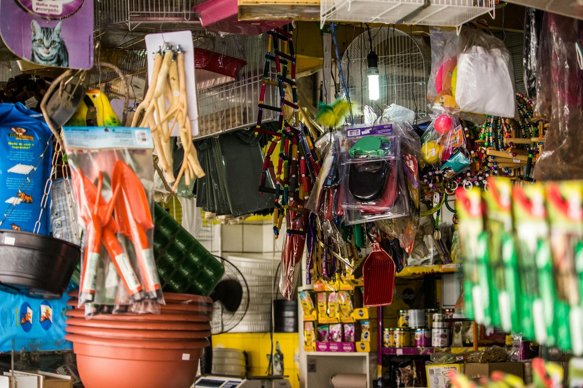 Best Pet Stores in Liberty Village