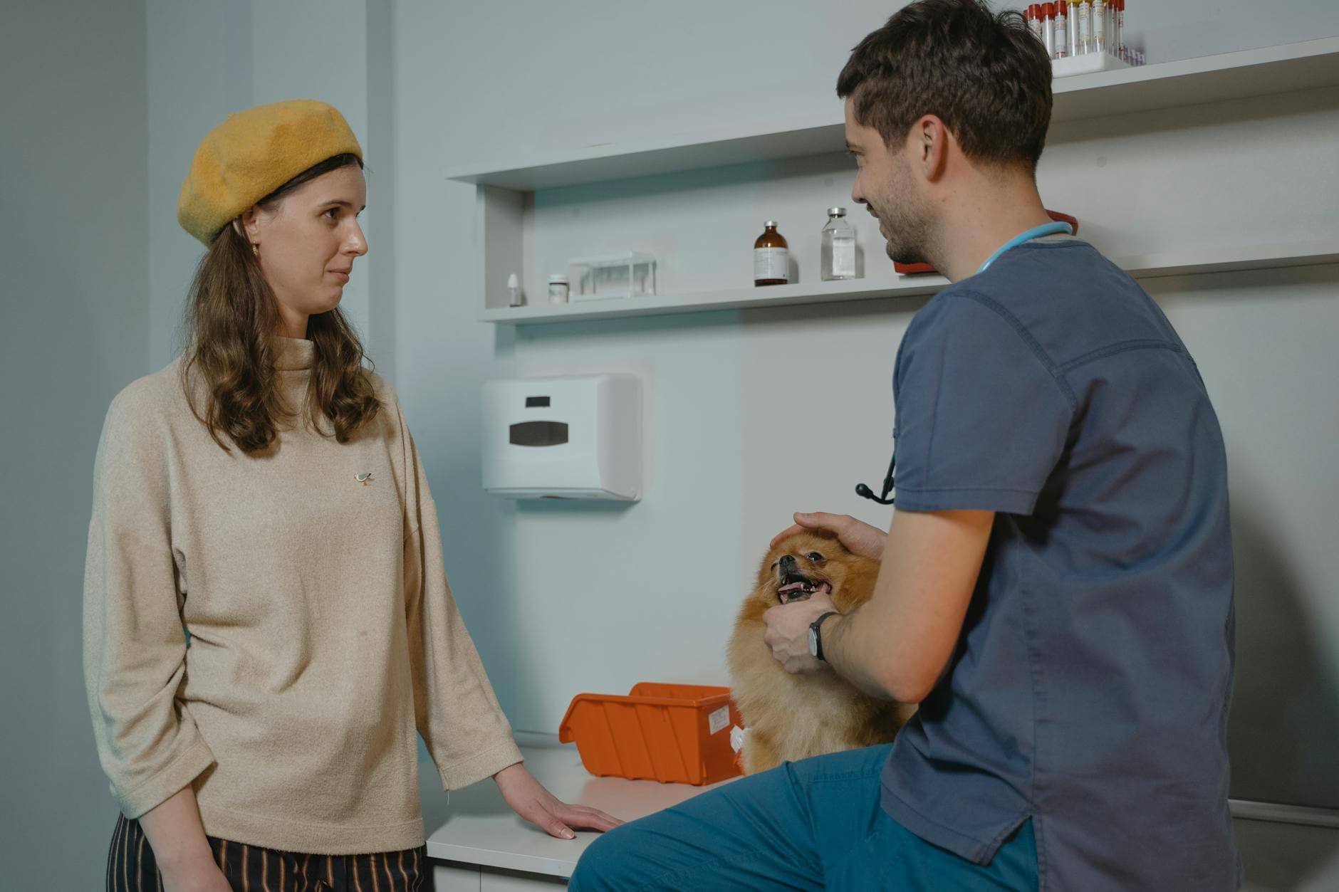Best Veterinarians in Liberty Village